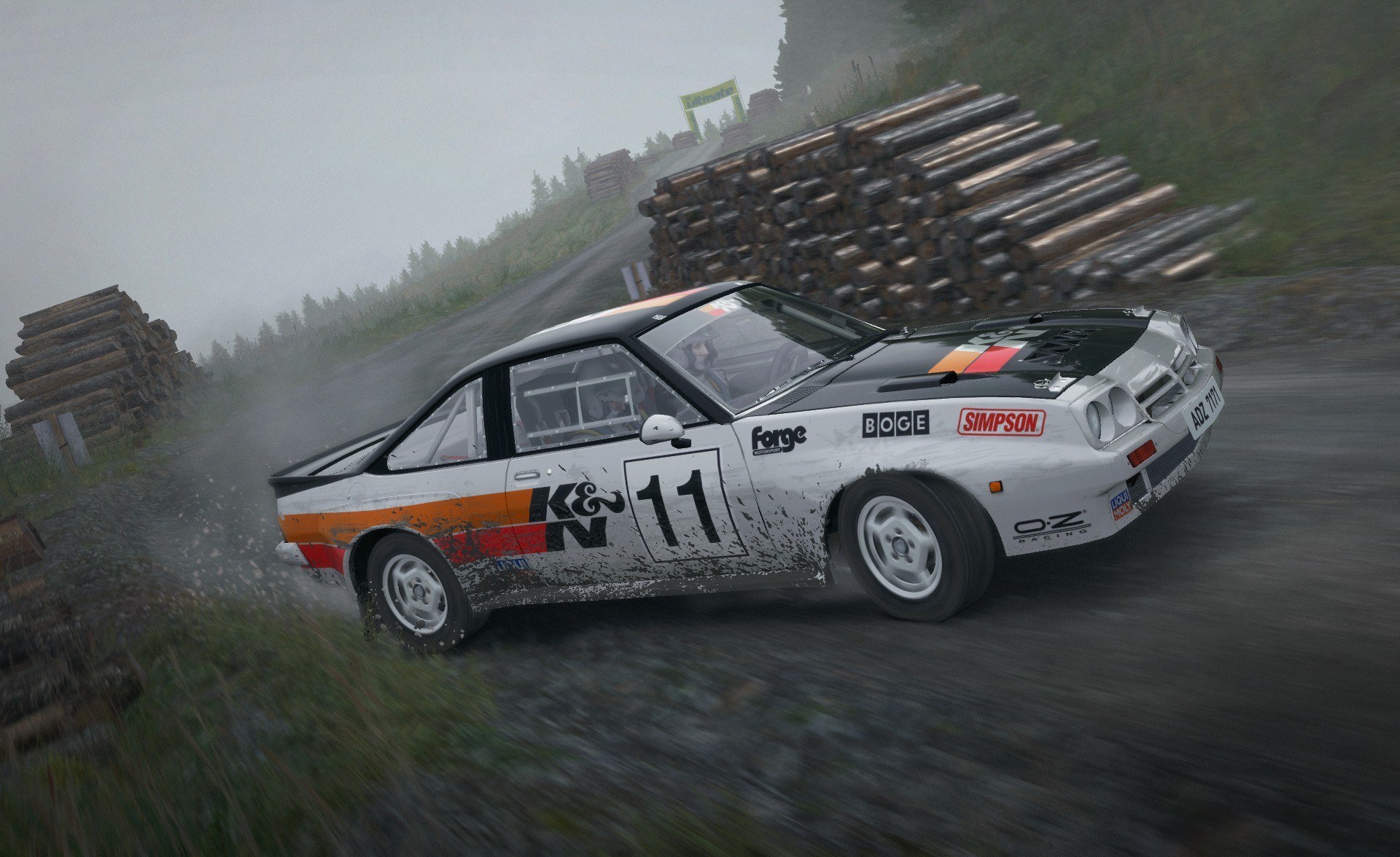 DiRT Rally - Imagen 27